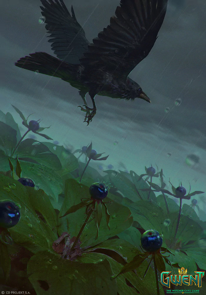 video game Gwent: The Witcher Card Game Image