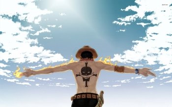 Sub-Gallery ID: 3301 One Piece