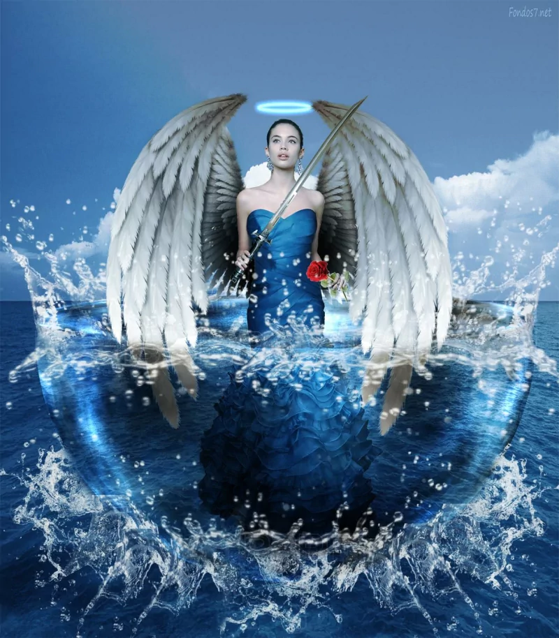  angel campo de fuerza