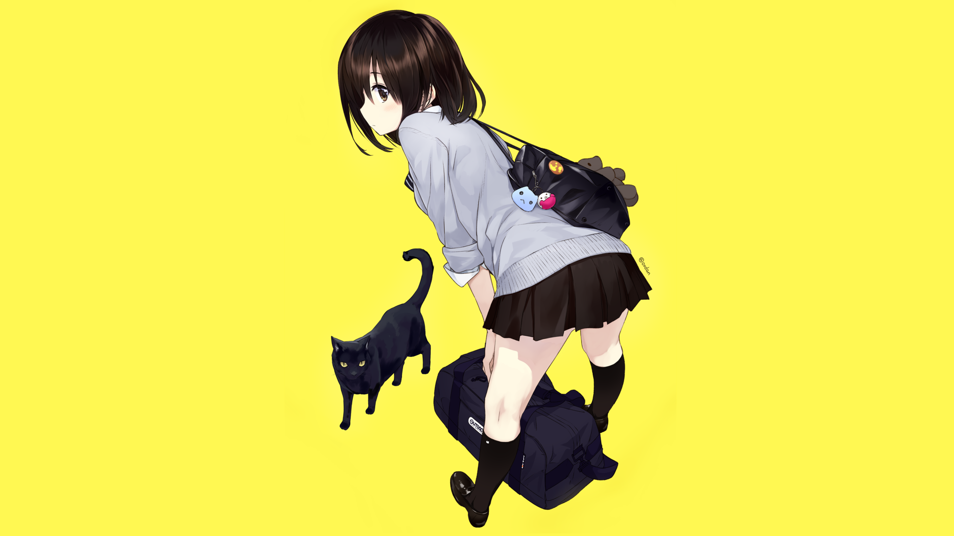 Download Bag Cat Anime Original Anime Cat Art