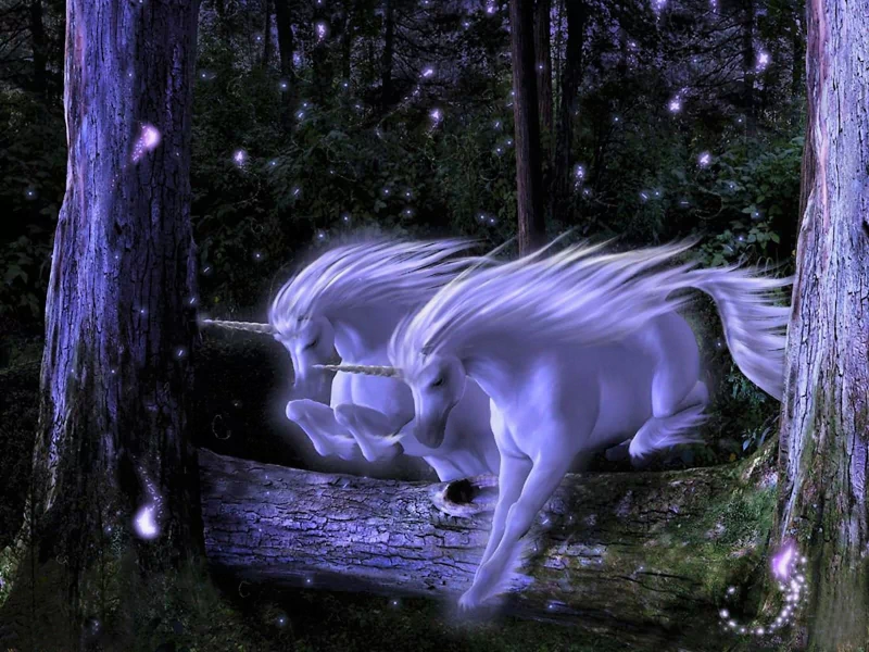  Unicorns in the Forest