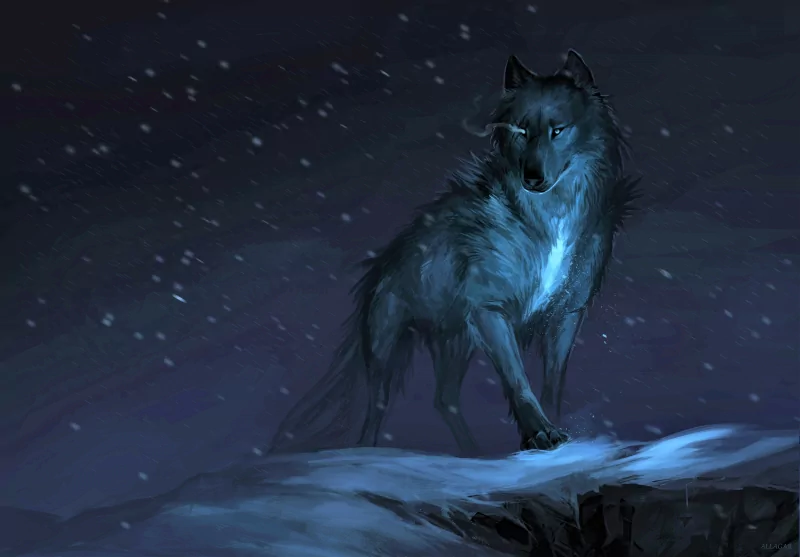 A lone wolf stands in the snow during winter, its dark fur contrasting against the icy landscape, surrounded by gently falling snowflakes in a serene, nighttime setting.