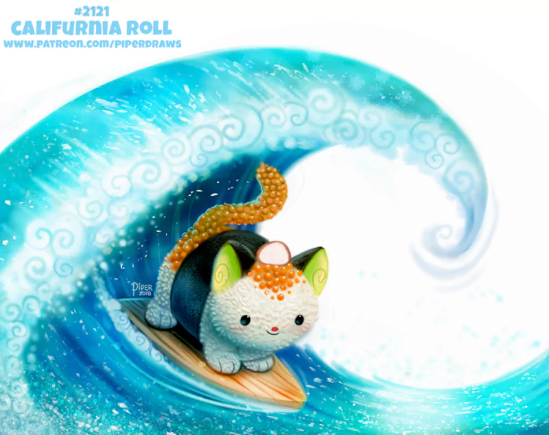 surfing Animal cat Image