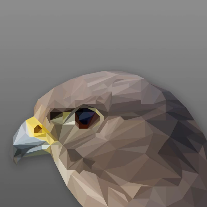 bird low poly Abstract facets Image