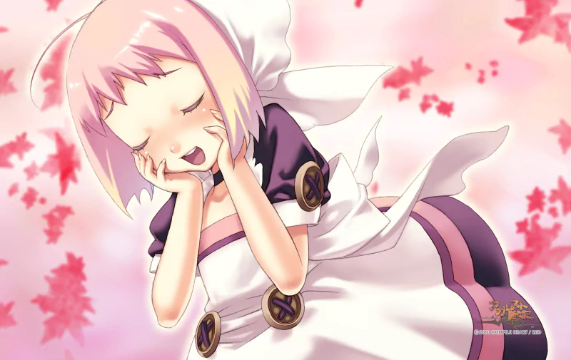 video game Record of Agarest War Image