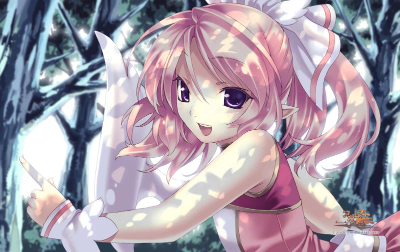 video game Record of Agarest War Image