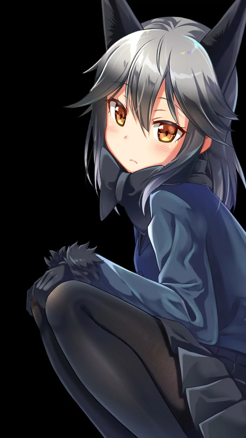 Silver Fox (Kemono Friends) cat girl Anime Kemono Friends character design Image