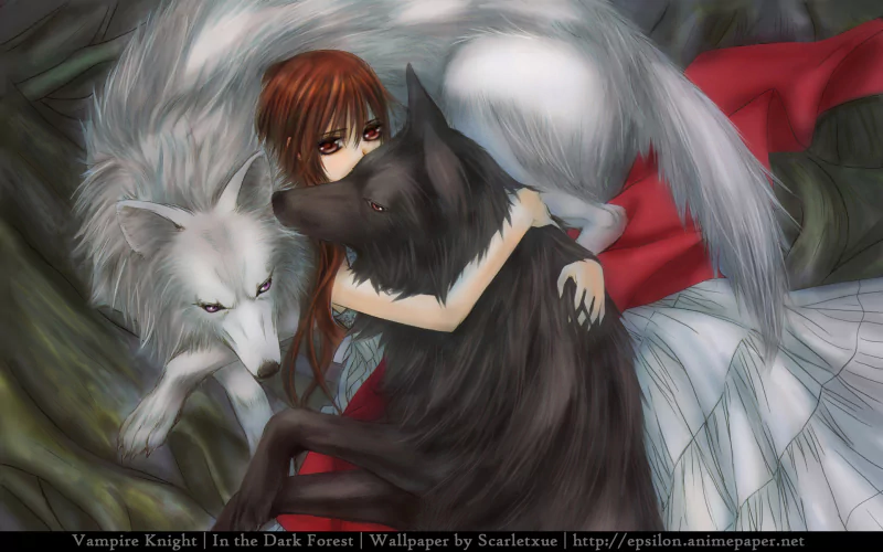 Yuki Kuran Yuki Cross Anime Vampire Knight Image