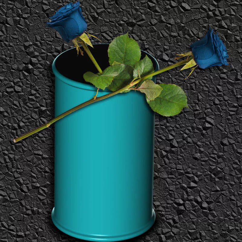  Blue rose