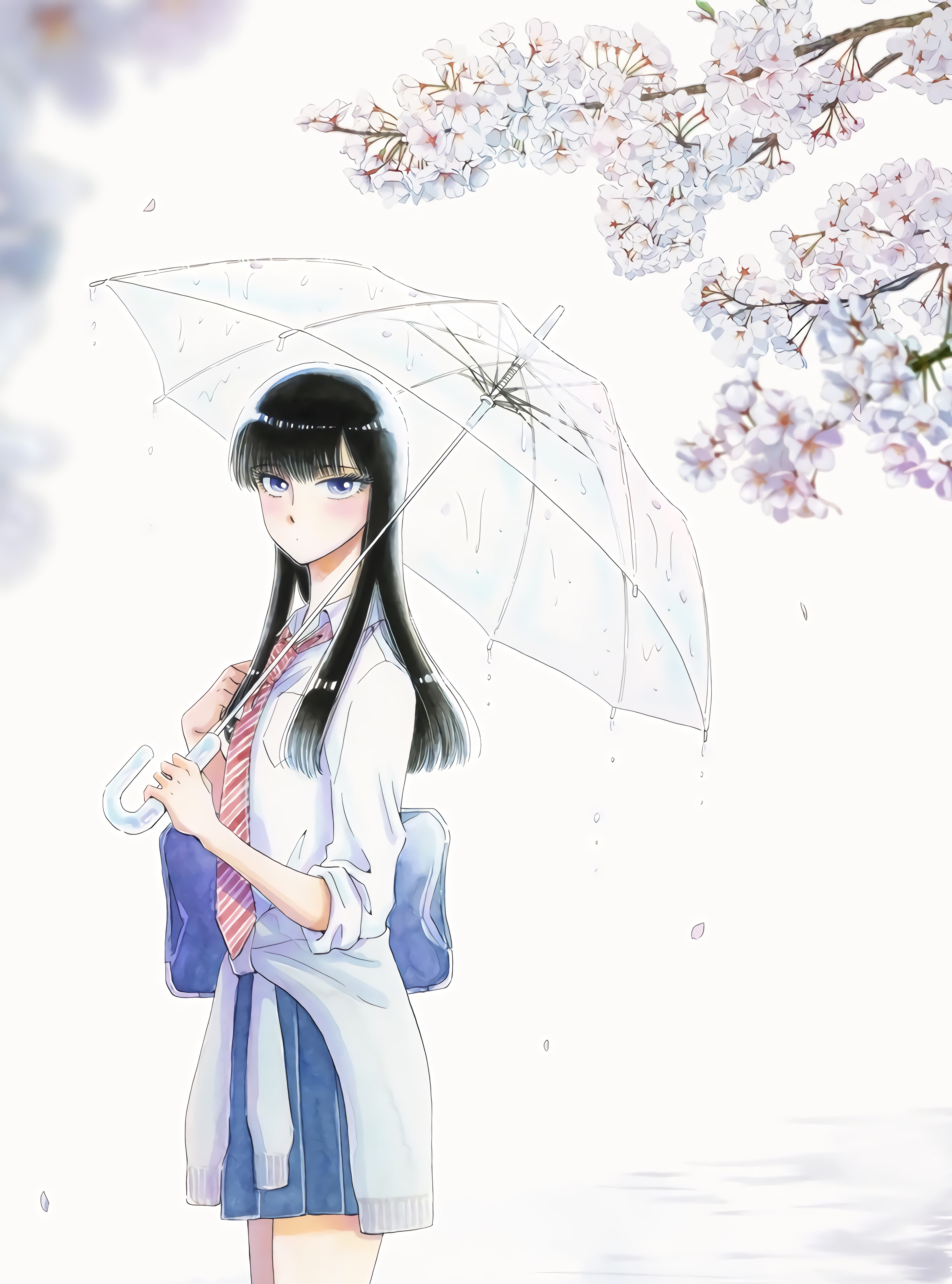 Anime After the Rain Art