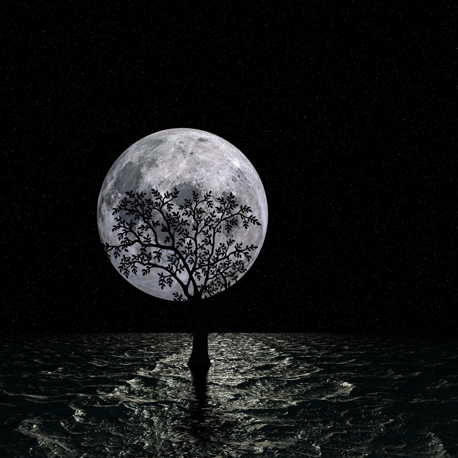Artistic night scene: full moon framed by a silhouetted tree standing in dark water, stars dot the sky and moonlight ripples across the surface.