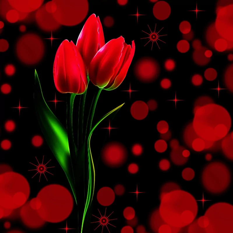red red flower tulip bokeh artistic flower Image