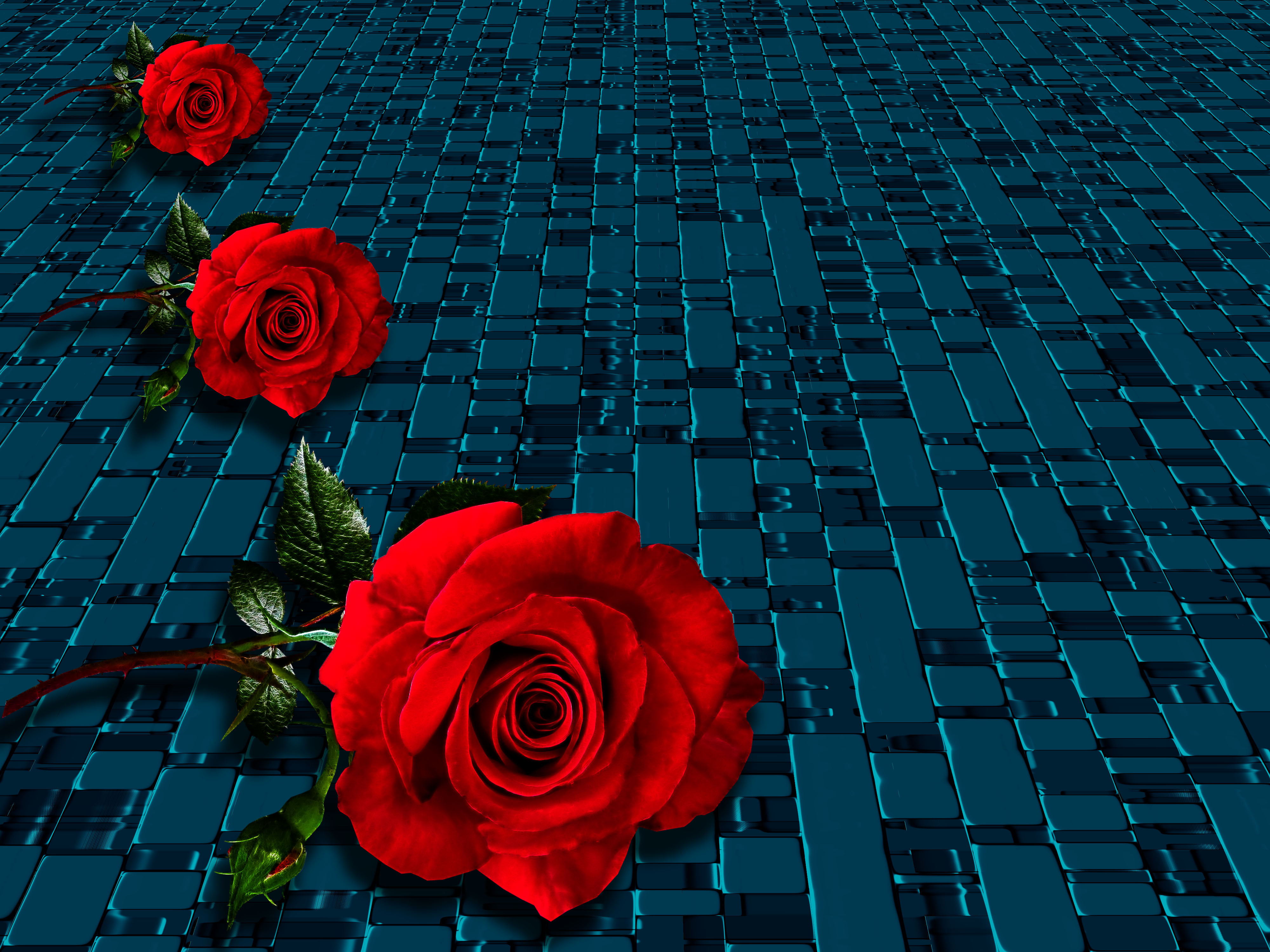 Red roses by Susanlu4esm