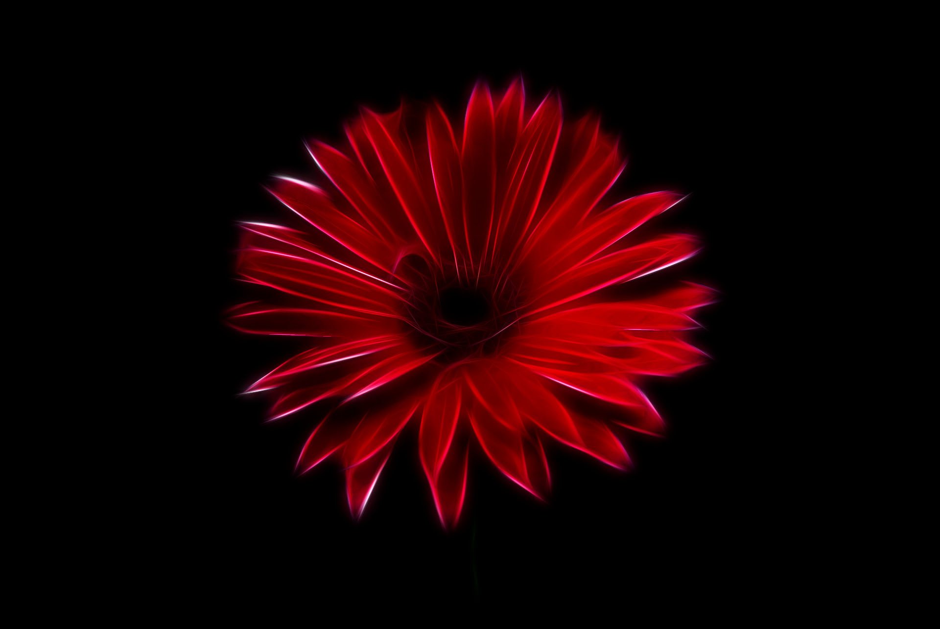 Fractal flower by Susanlu4esm