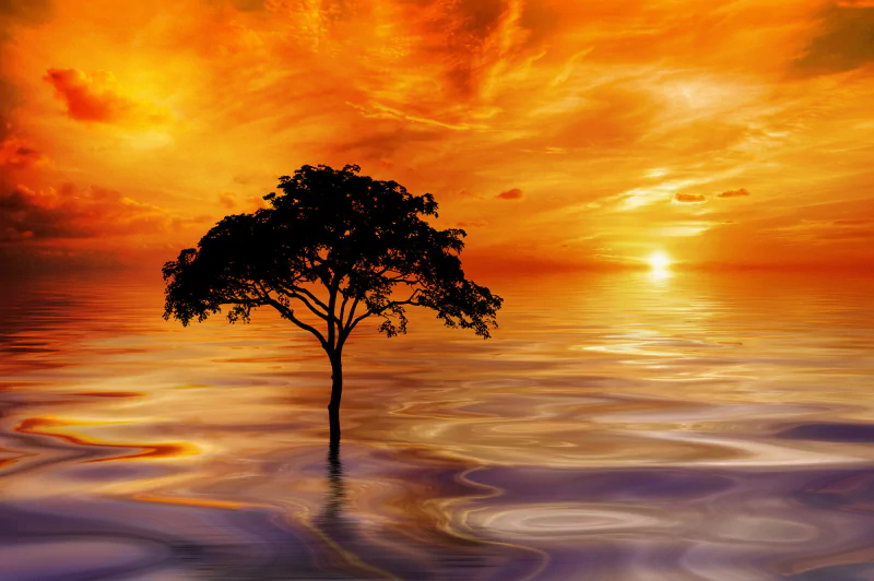  Watching the Sunshine