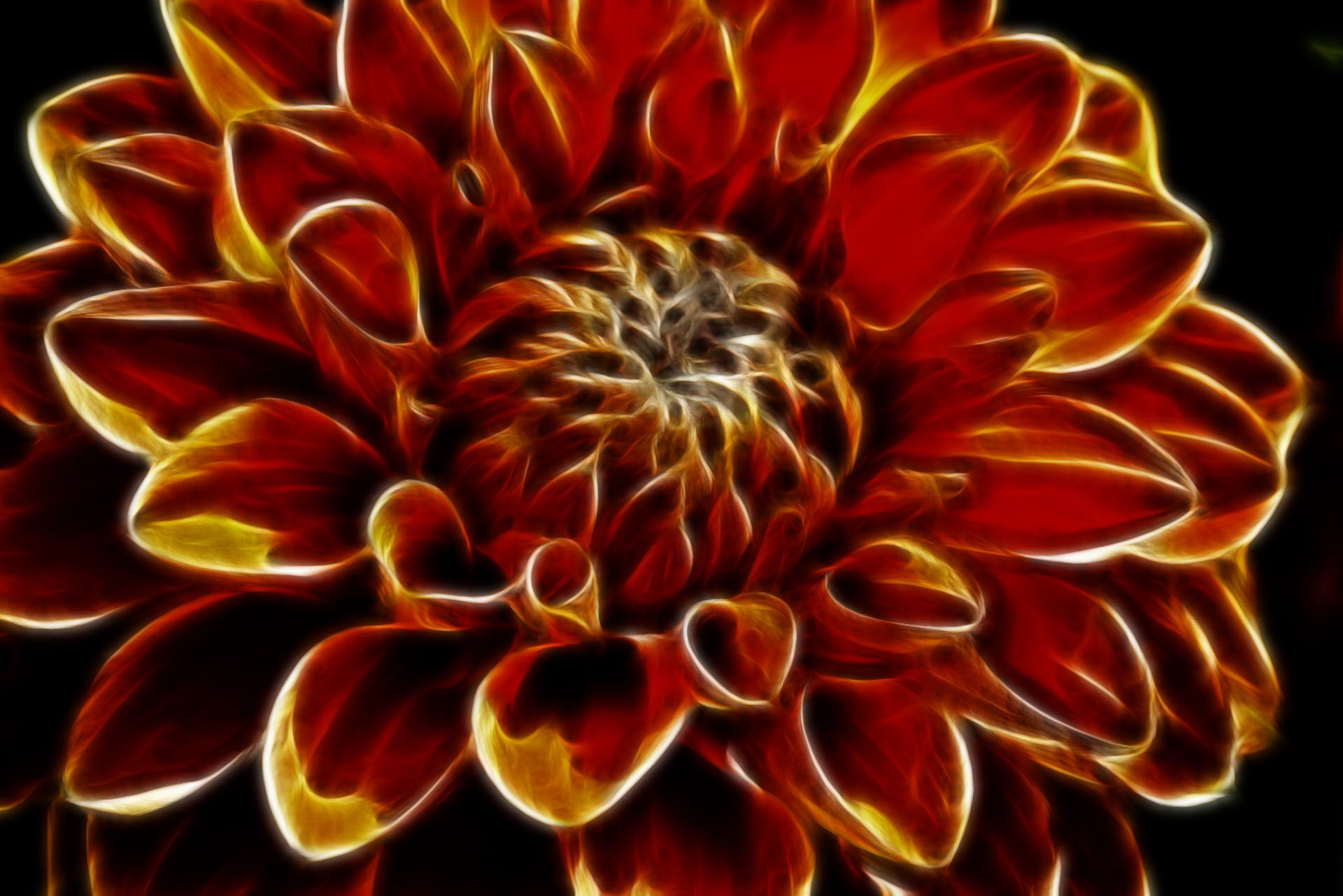 Colorful, artistic fractal-style close-up of a red and gold flower with glowing petal edges and a detailed spiral center