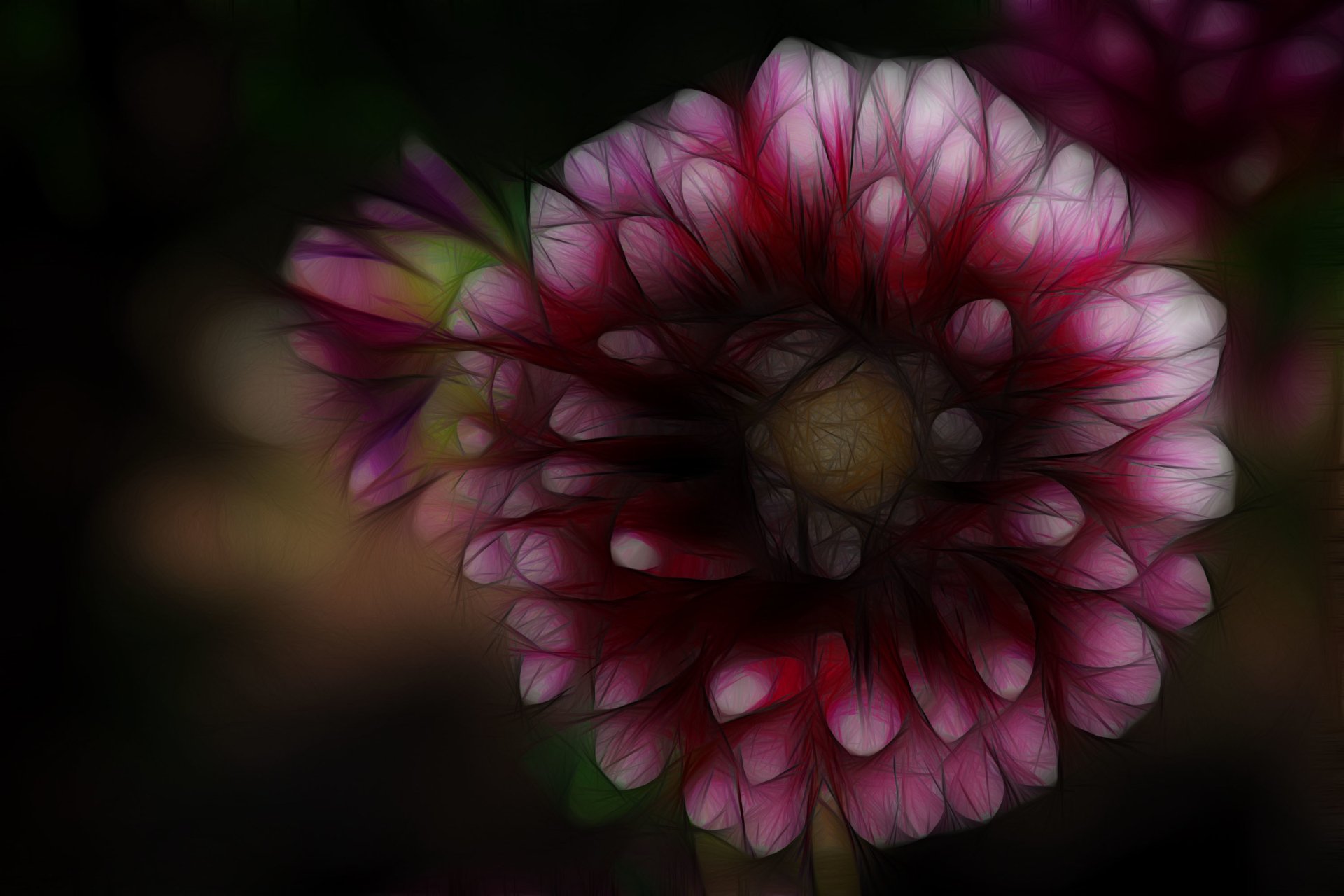 Illustrative flower by Susanlu4esm