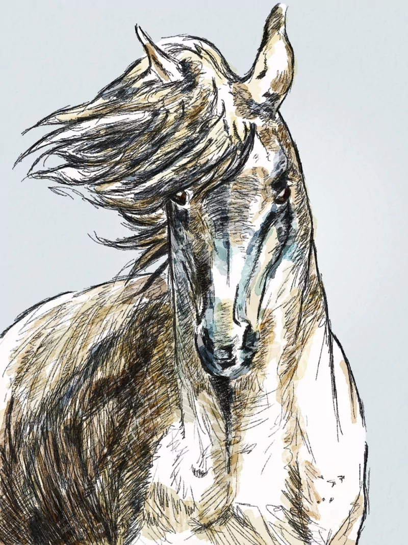  Horse Portrait by Džoko Stach