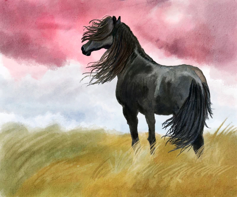  Watercolor Black Horse by Džoko Stach