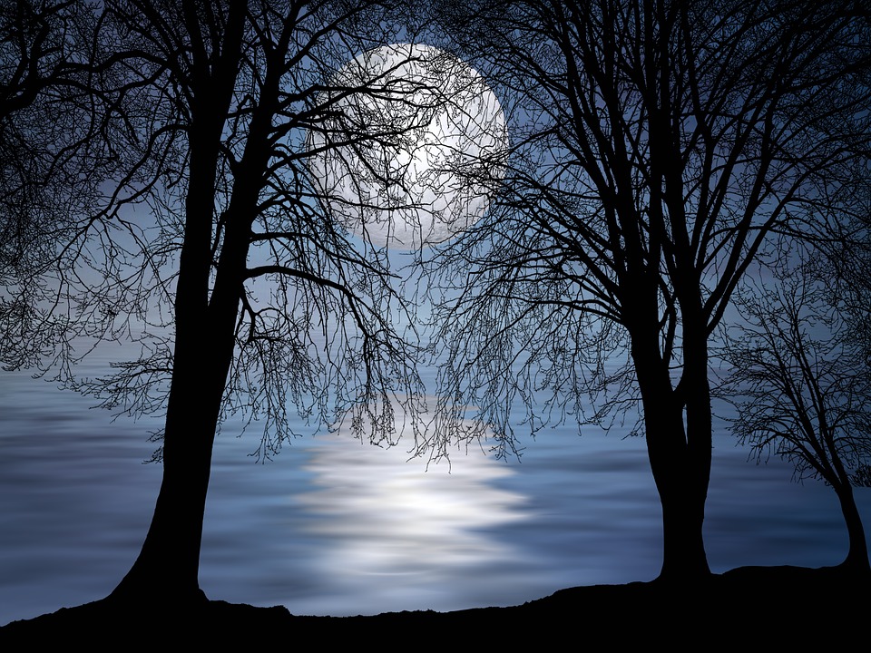 Full moon night by Susanlu4esm