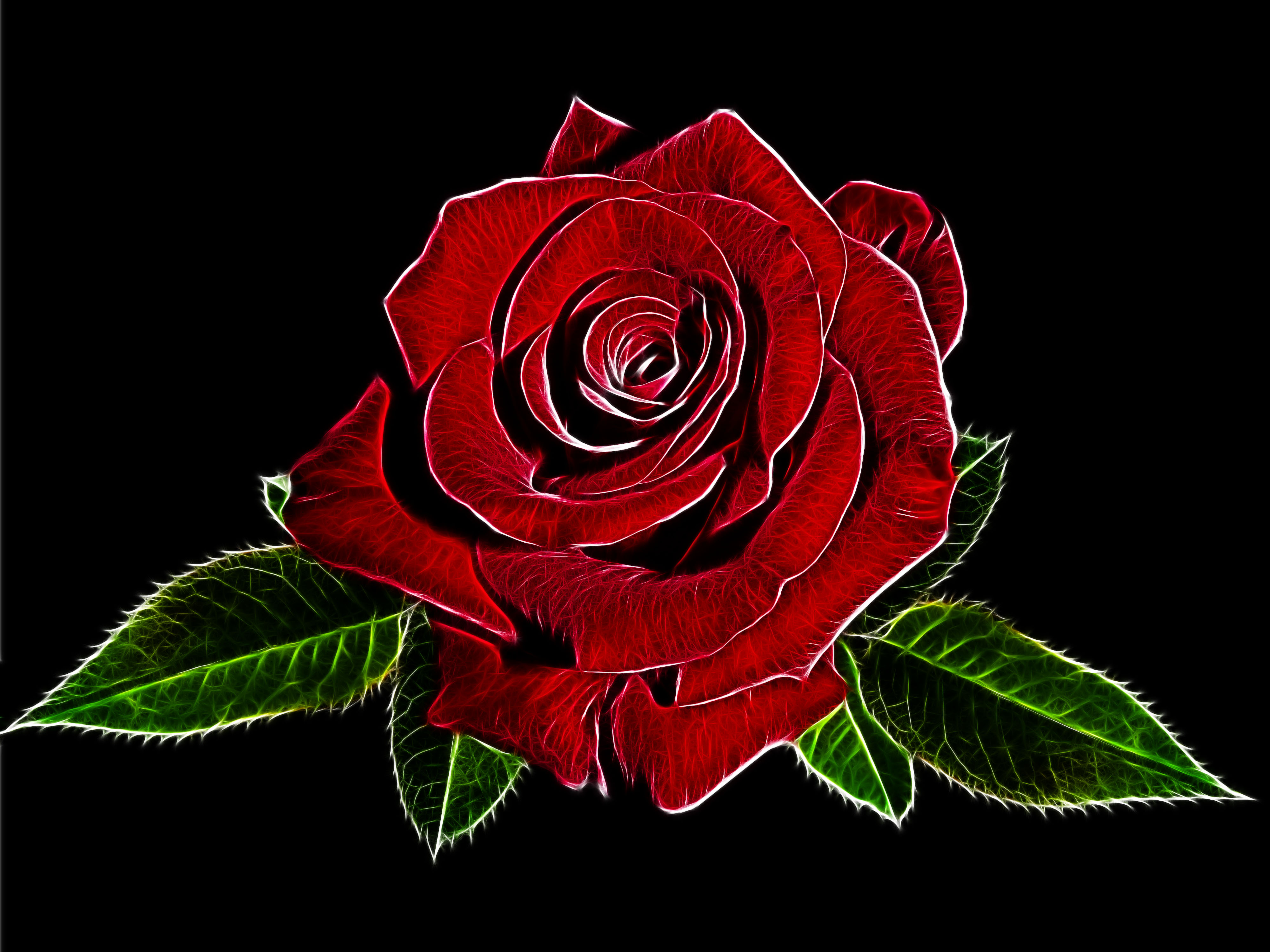 Rose red by Susanlu4esm