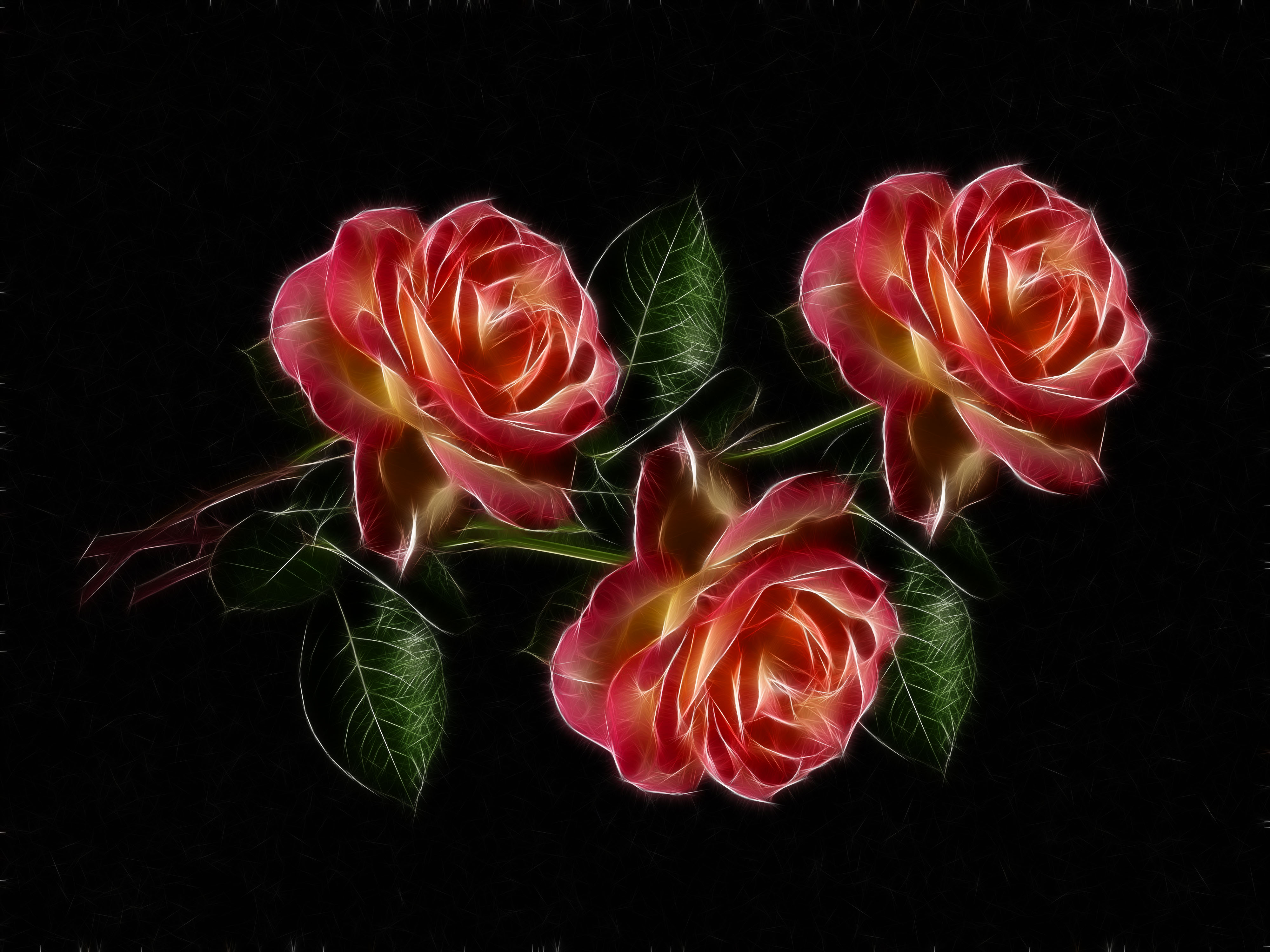 Roses by Susanlu4esm