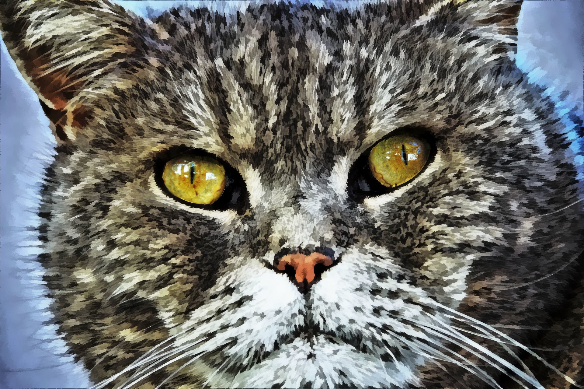 Illustrative cat by Susanlu4esm