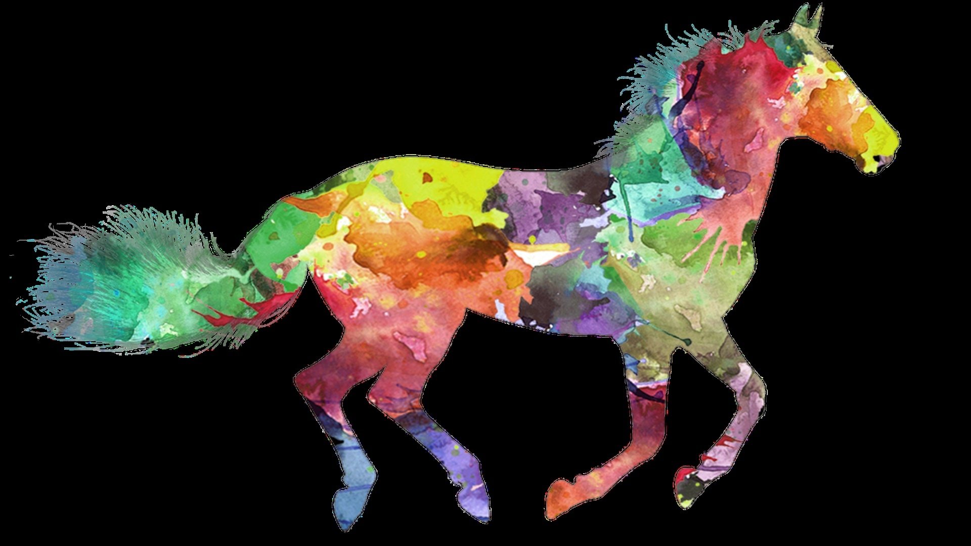 Colorful Horse Art