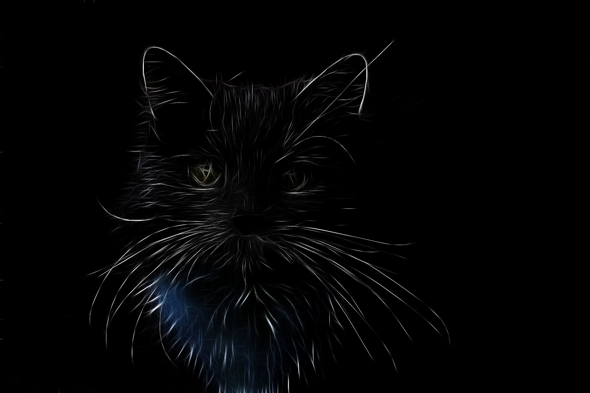 Download Illustrative Animal Cat Art by Susanlu4esm