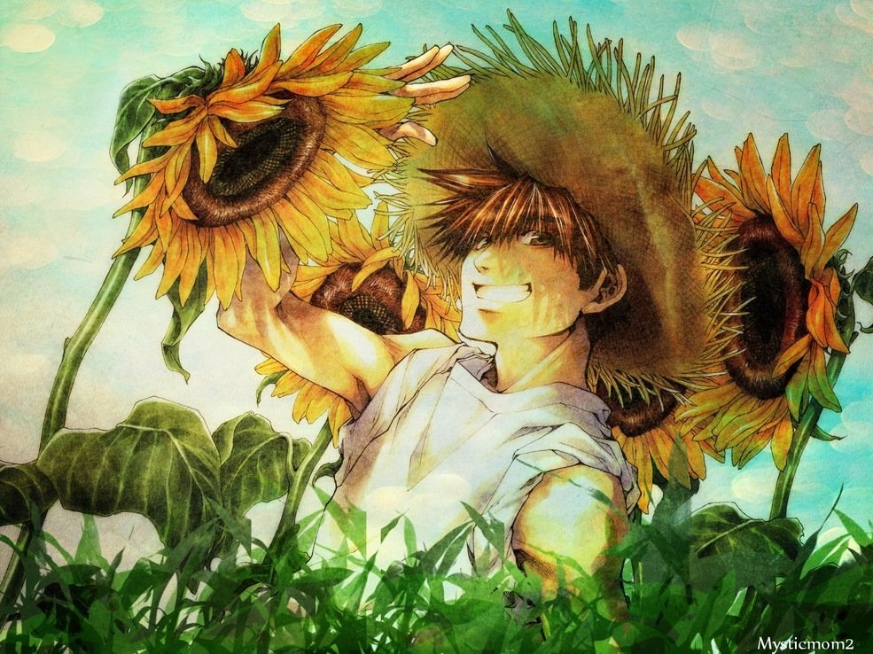 Download Anime Saiyuki Art