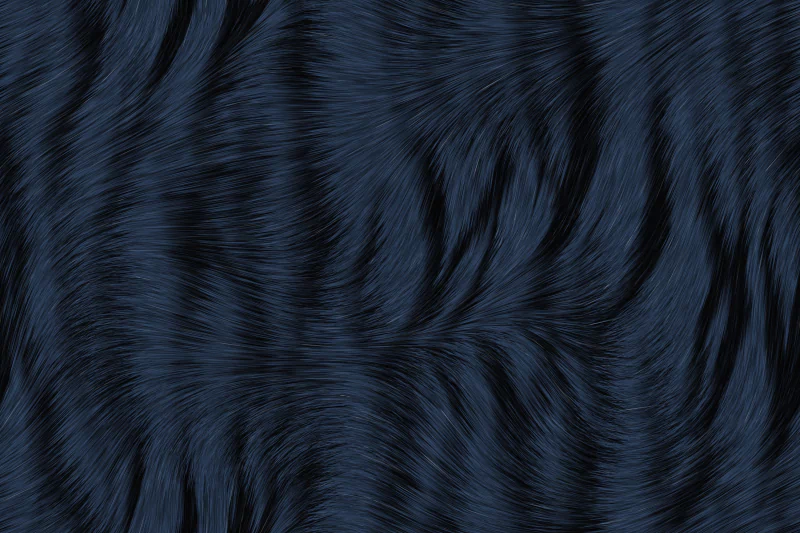  Texture