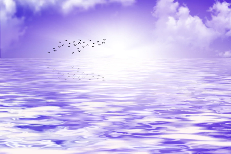  The sea