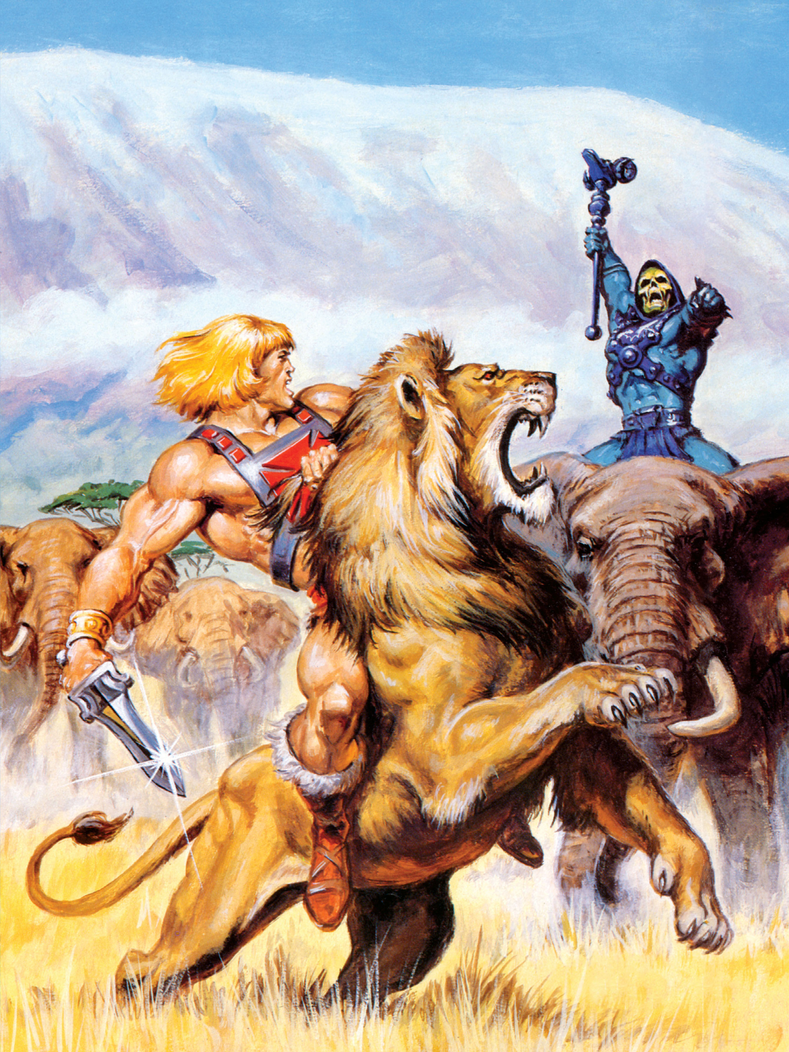 He-Man and the Masters of the Universe Art
