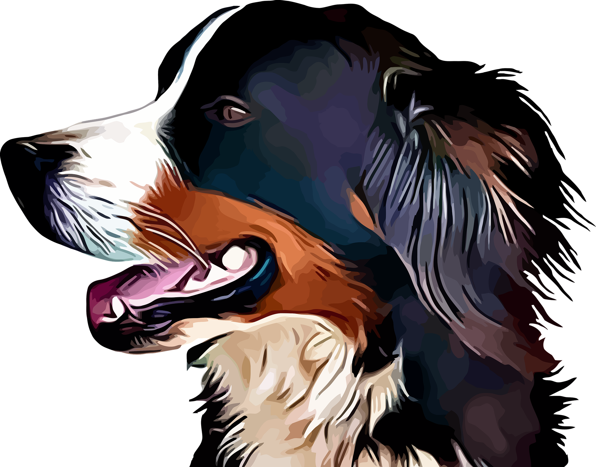 Download Dog Animal Bernese Mountain Dog Art