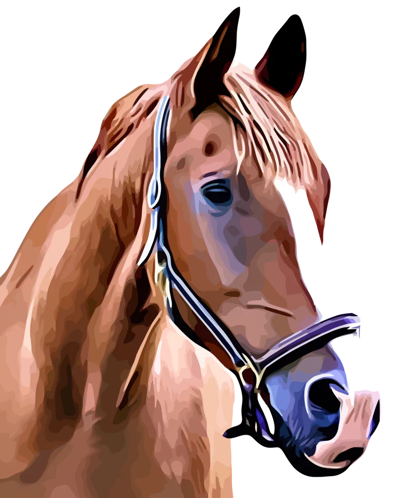  Brown Horse Portrait by OpalePbhia