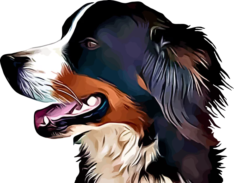  Dog Portrait by OpalePbhia