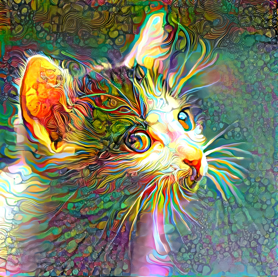 A beautiful cat with some effect overlays by NatureWorshiper