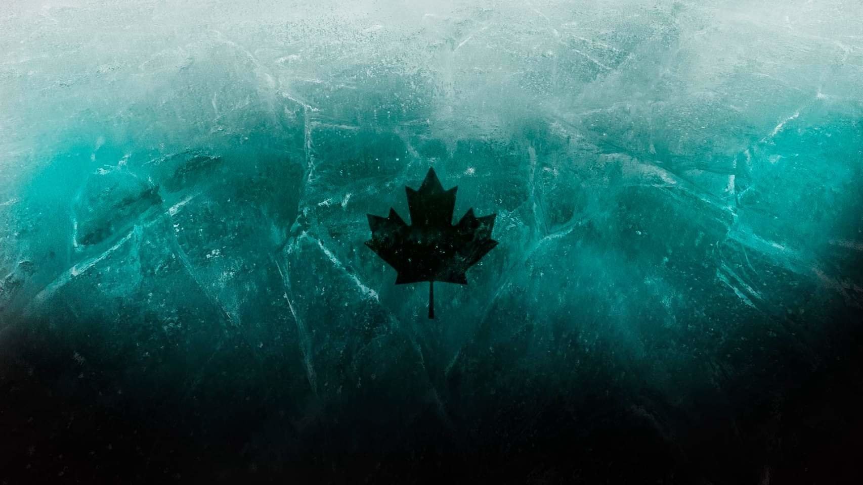 Download Maple Leaf Video Game Tom Clancy's Rainbow Six: Siege Art