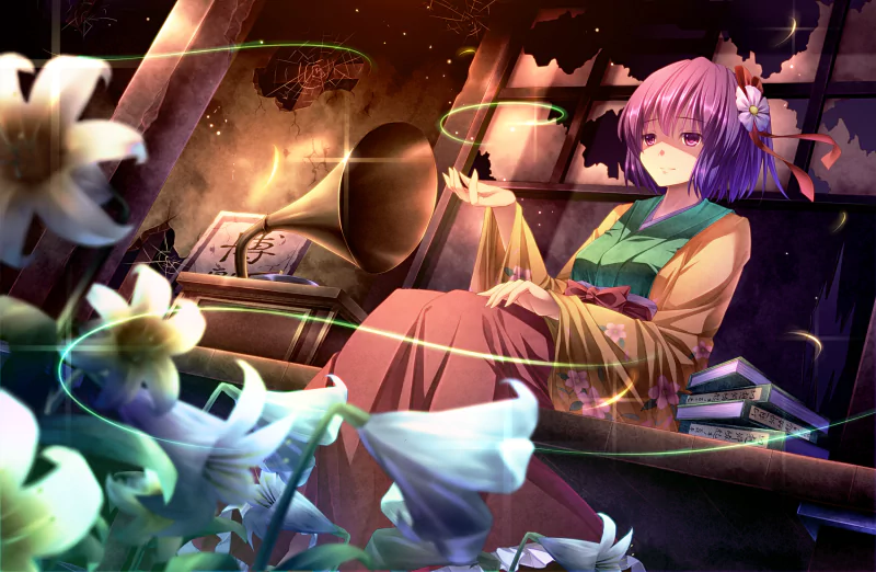 Hieda no Akyuu Anime Touhou Image