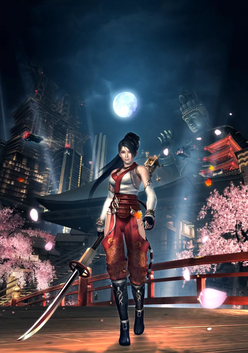 video game Ninja Gaiden Image