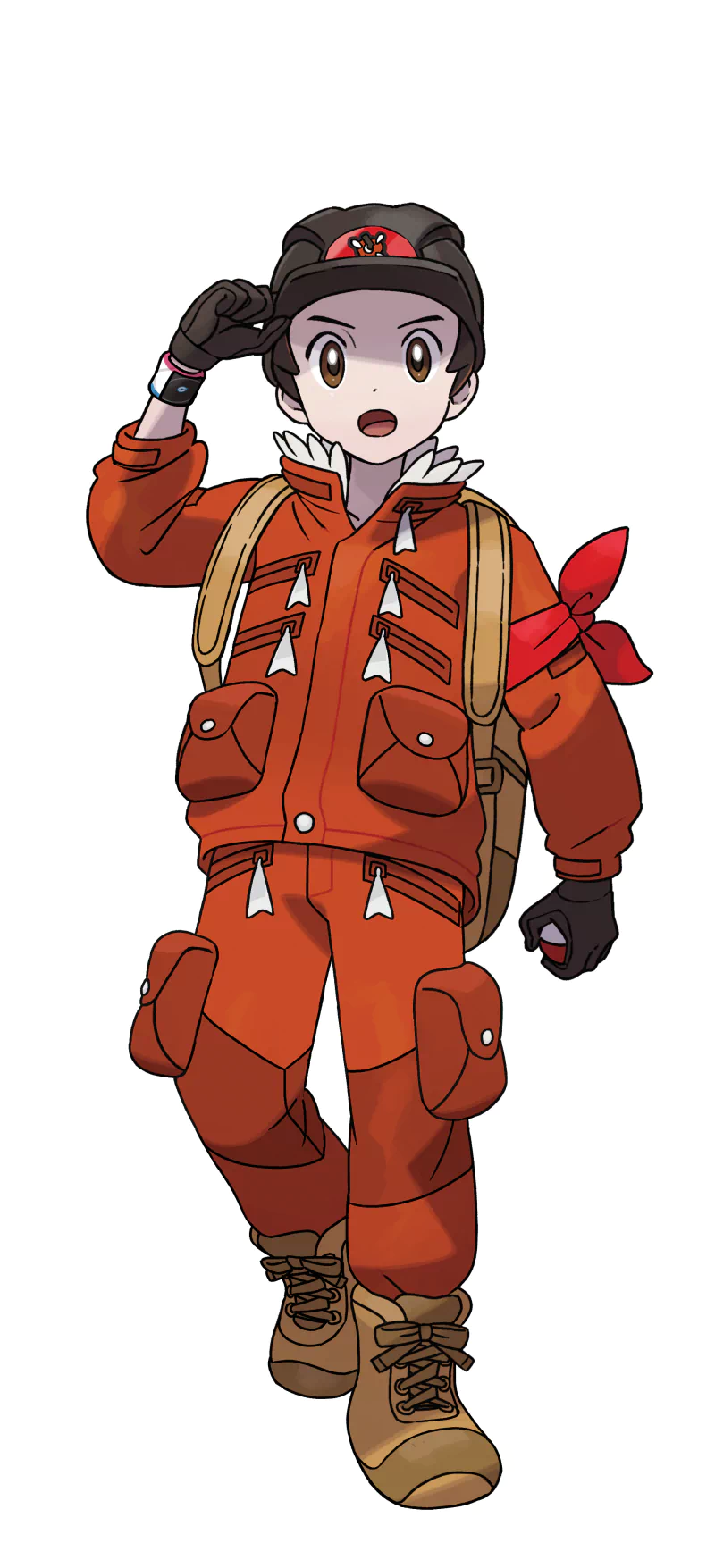 pokeball Pokemon Pokémon Shield Pokémon Sword Victor (Pokémon) video game Pokémon: Sword and Shield Image