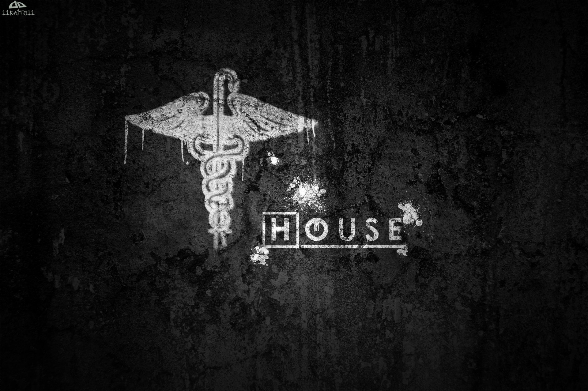 Download TV Show House (2004) Art