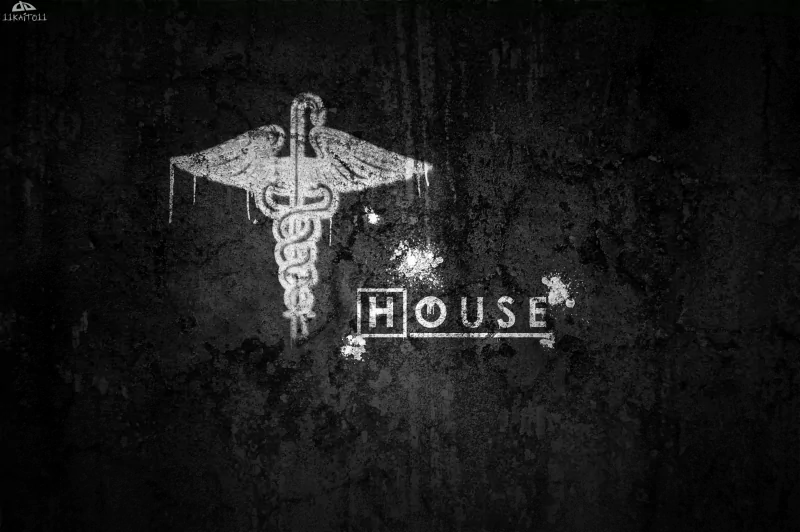 TV Show House (2004) Image