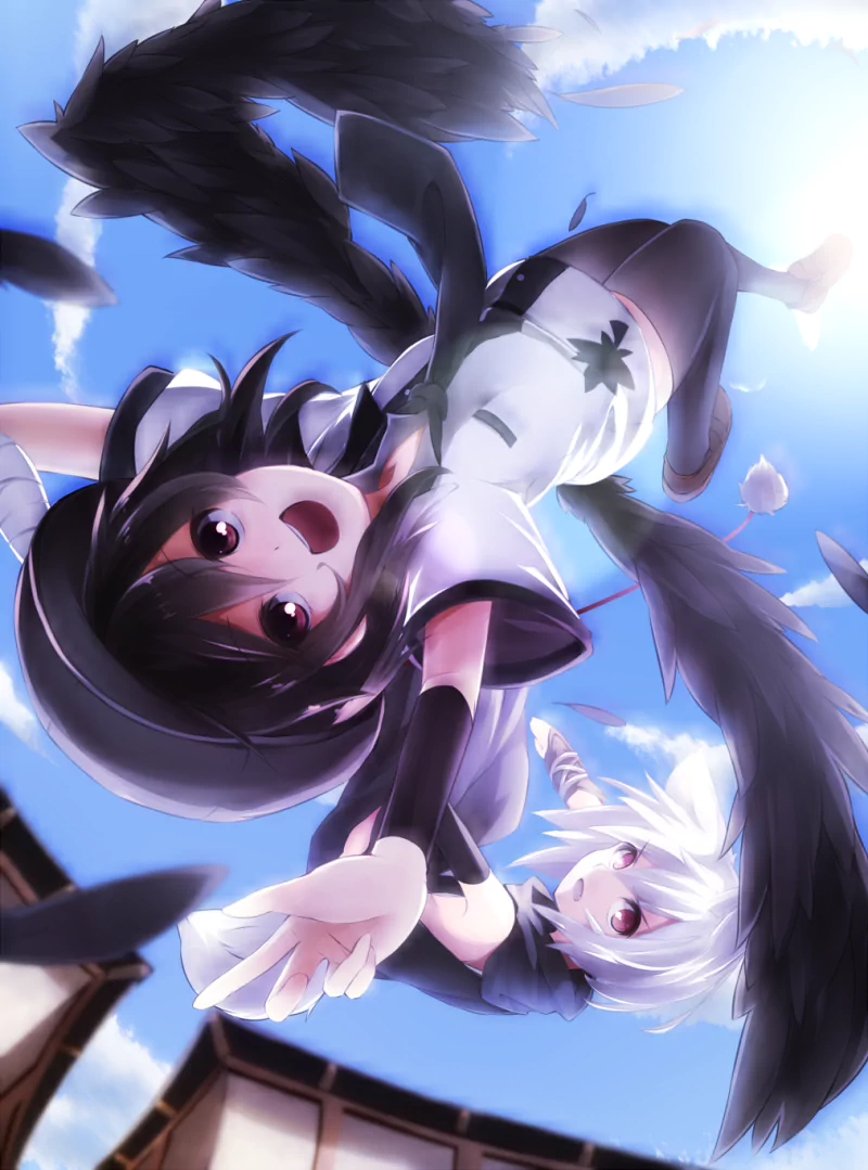 Momiji Inubashiri Aya Shameimaru Anime Touhou Image