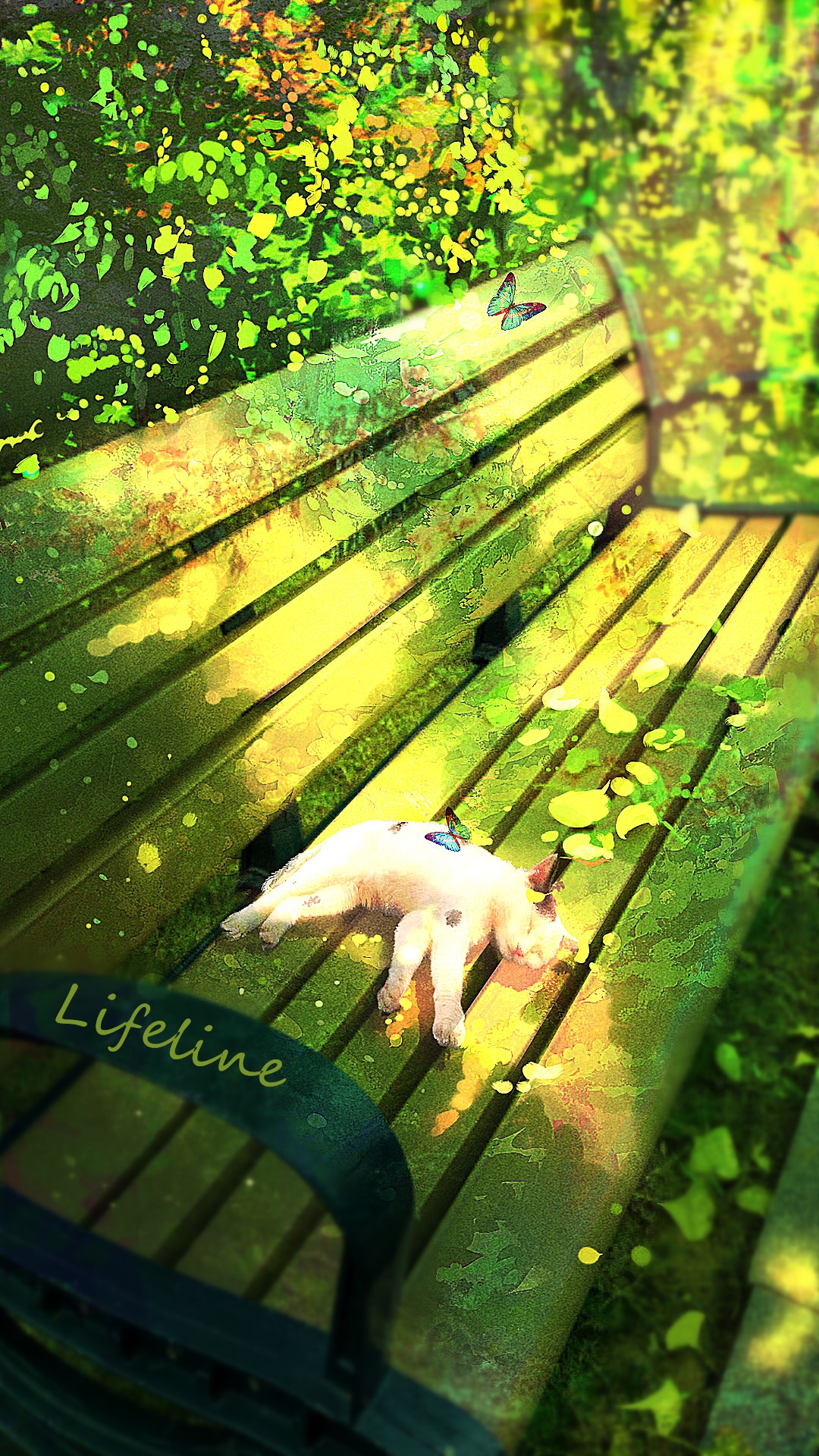 Young cat sleeping on a park bench by Lifeline