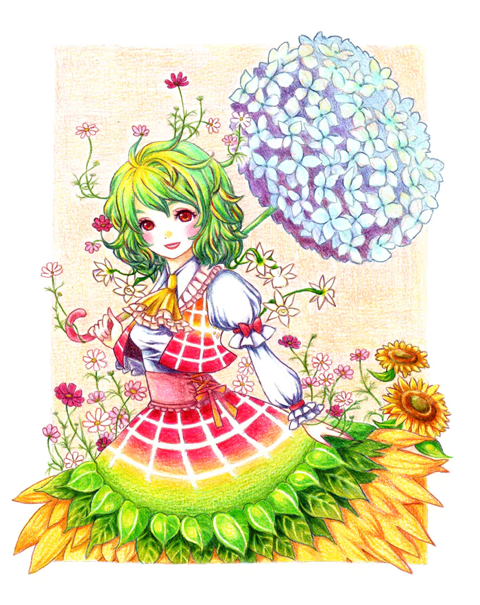 Yuuka Kazami Anime Touhou Image