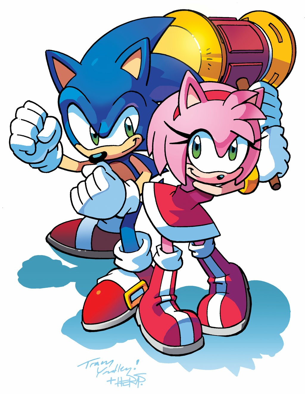 Sonic and Amy Rose by yardleyart