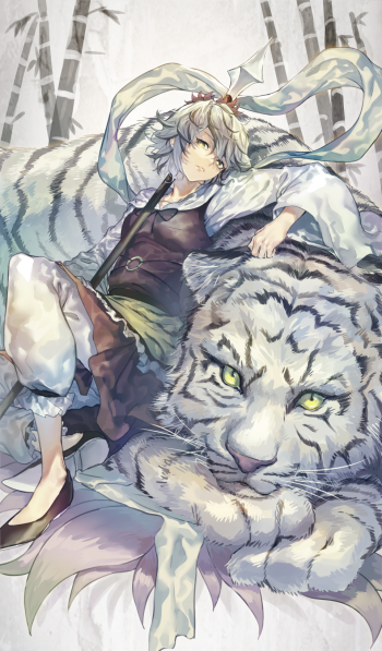 White Tiger  Animal  Zerochan Anime Image Board