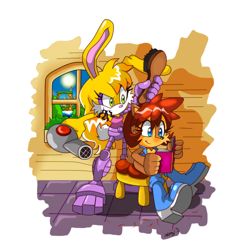 book blue eyes green eyes red hair Sally Acorn Bunnie Rabbot Comic Sonic the Hedgehog Image