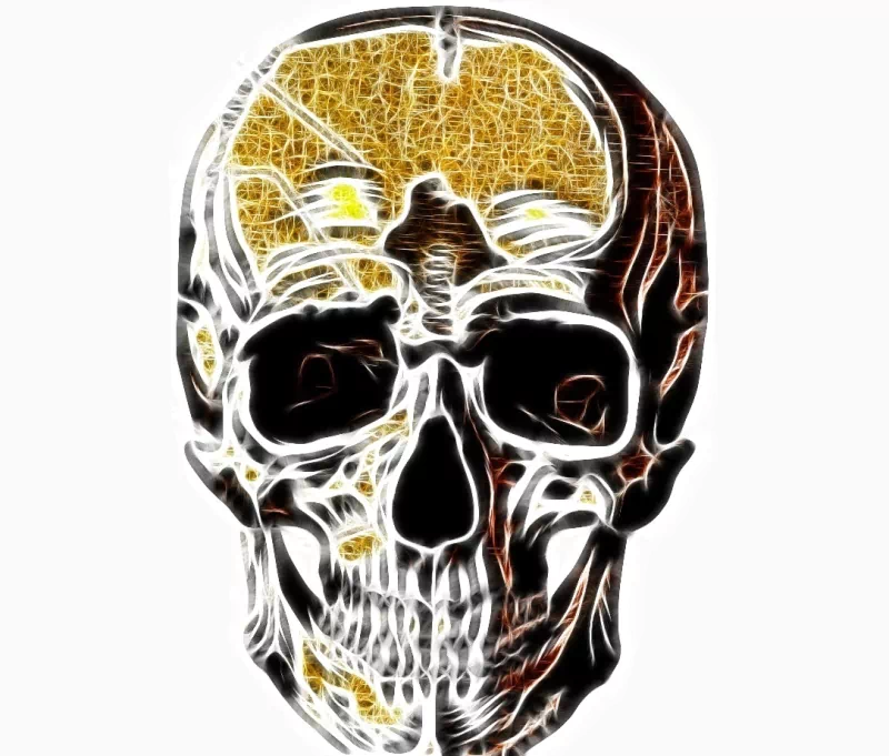 dark skull Image